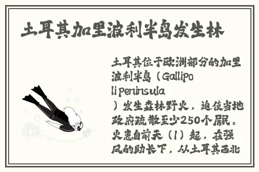 亚洲A∨精品一区二区三区下载